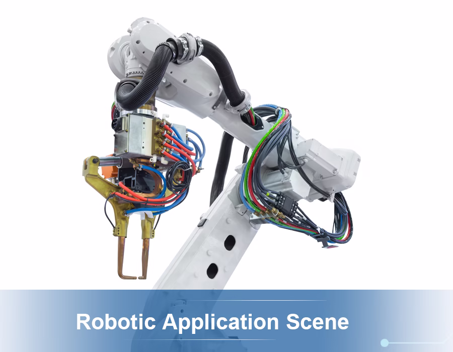 Robotic Application Scene